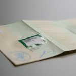 Fahrzeugschein
